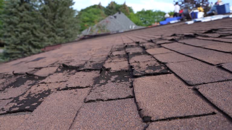 Best Roof Maintenance and Cleaning  in Missouri Valley, IA