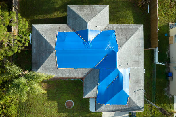 Best Asphalt Shingle Roofing  in Missouri Valley, IA