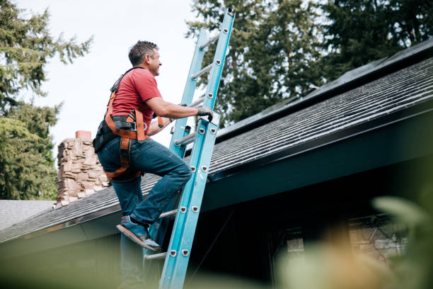 Best Roof Ventilation Installation  in Missouri Valley, IA