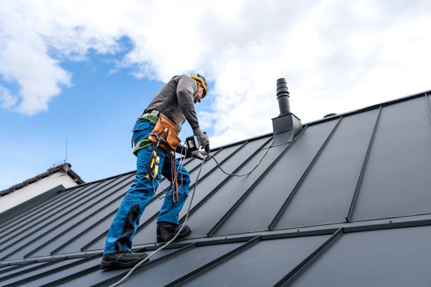 Best Sheet Metal Roofing  in Missouri Valley, IA